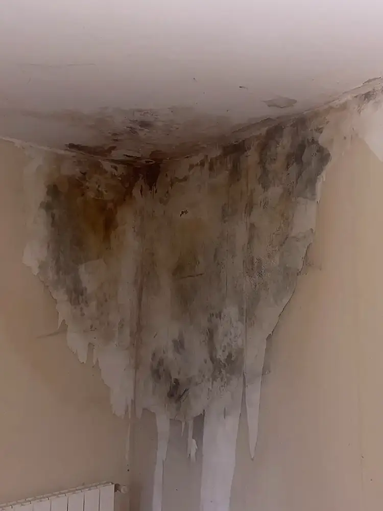Taches d’humidité et moisissures noires au plafond et sur les murs d’un angle de pièce