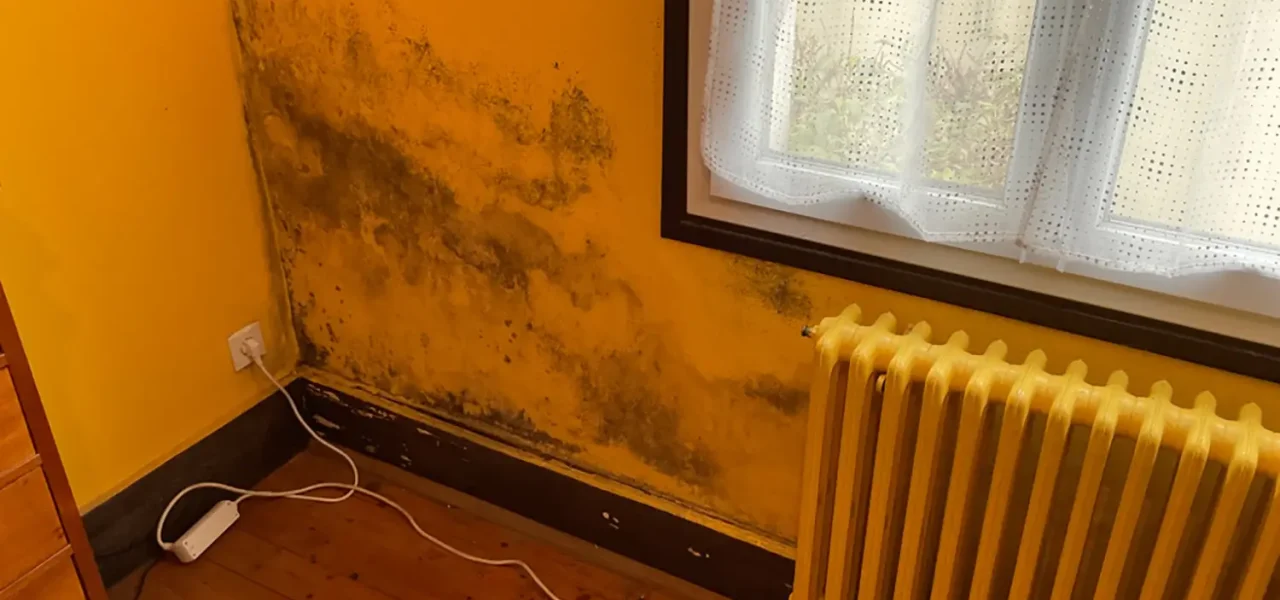 Moisissure noire sur un mur intérieur près d’un radiateur et d’une fenêtre